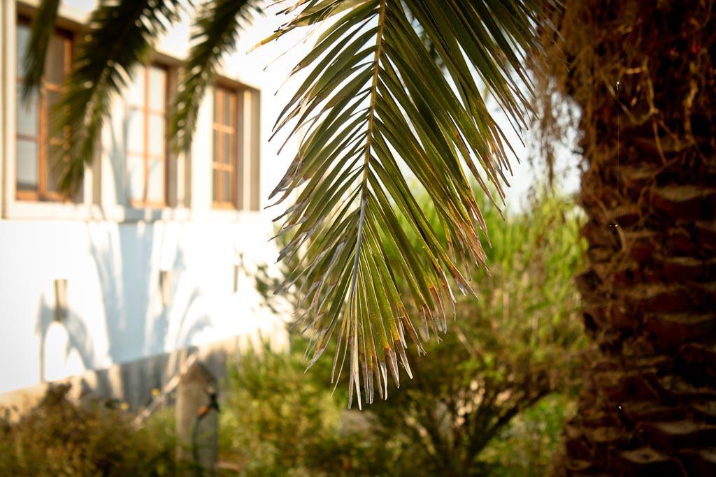 Cabeca Da Cabra Casa De Campo Porto Covo Exterior photo